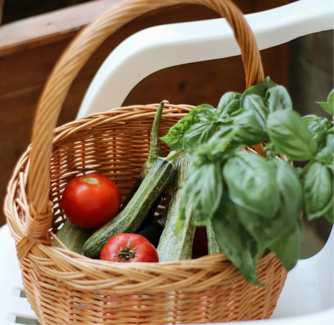 Fresh vegetables in a basket