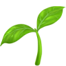 Flower icon